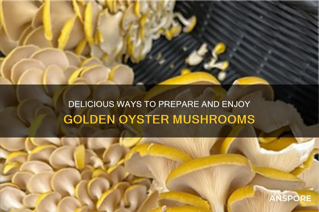 how to eat golden oyster mushrooms