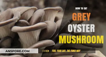 Delicious Ways to Prepare and Enjoy Grey Oyster Mushrooms