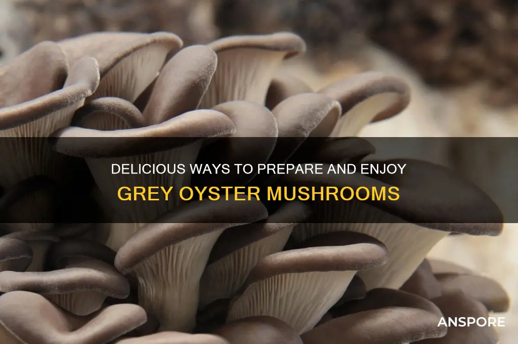 how to eat grey oyster mushrooms