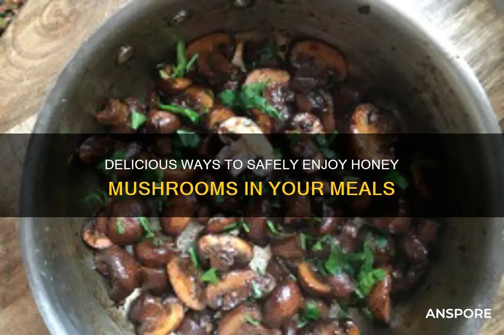 how to eat honey mushroom