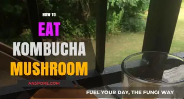 Mastering the Art of Eating Kombucha Mushroom: A Tasty Guide