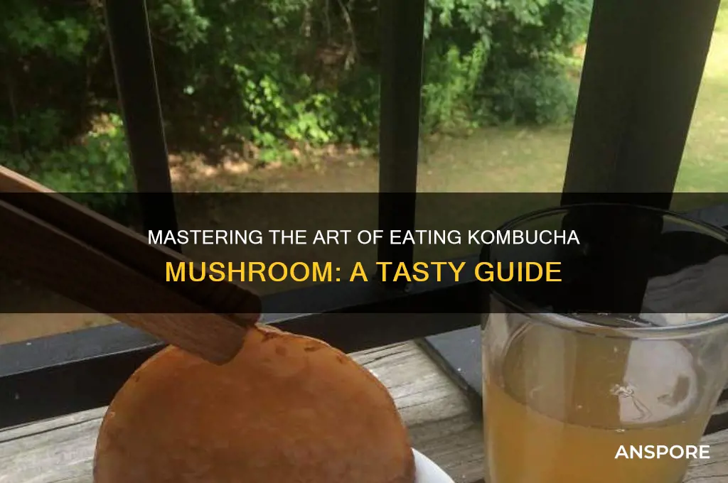 how to eat kombucha mushroom