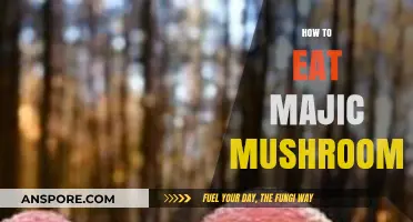 A Beginner's Guide to Safely Consuming Magic Mushrooms Responsibly