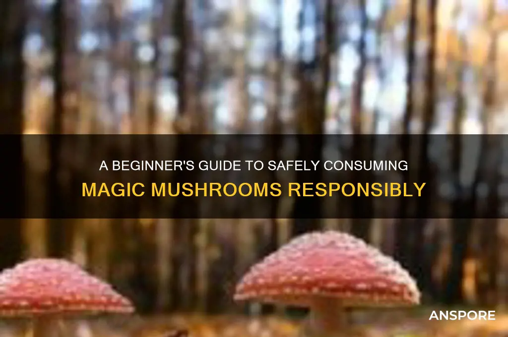 how to eat majic mushrooms