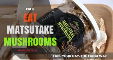 Savoring Matsutake: A Guide to Enjoying This Rare Culinary Treasure