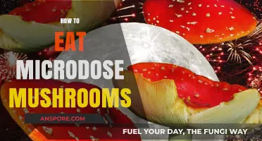 Microdosing Mushrooms: A Beginner's Guide to Safe and Effective Consumption