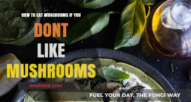 Creative Ways to Enjoy Mushrooms Even If You Think You Hate Them