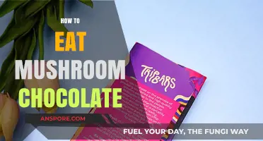 Delicious Guide: Safely Enjoying Mushroom Chocolate for a Unique Experience