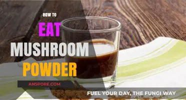 Creative Ways to Incorporate Mushroom Powder into Your Daily Diet