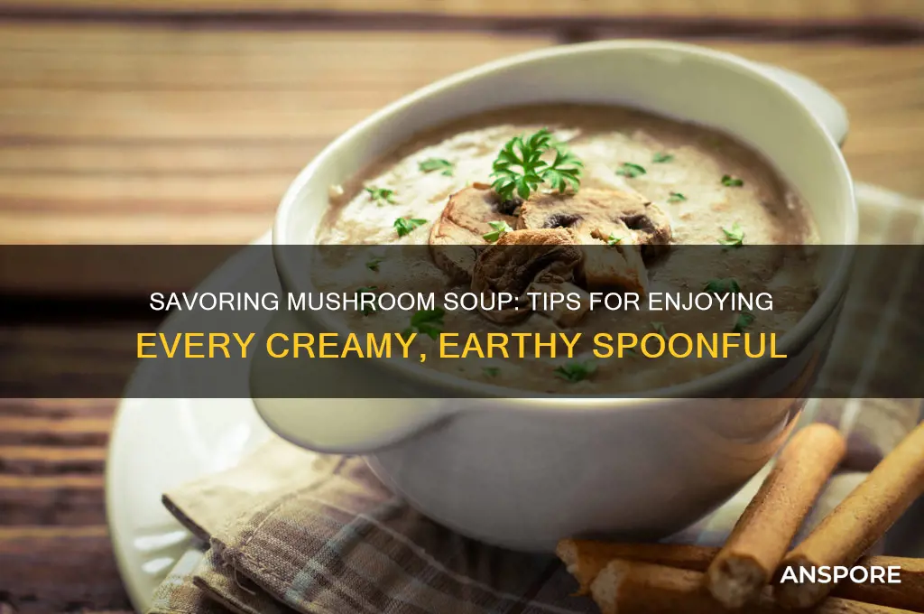how to eat mushroom soup