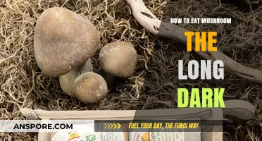 Surviving The Long Dark: Mastering Mushroom Consumption for Safe Energy