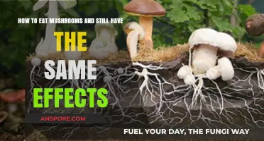 Maximizing Mushroom Benefits: Smart Ways to Consume and Preserve Effects