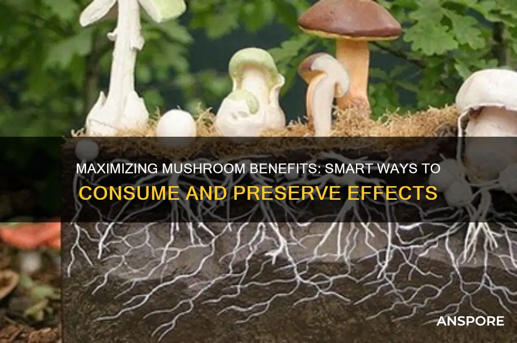 how to eat mushrooms and still have the same effects