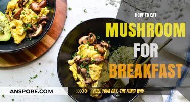 Delicious Morning Mushrooms: Creative Breakfast Recipes to Start Your Day