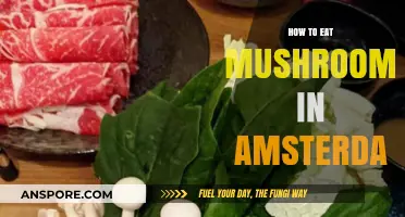 Exploring Amsterdam's Best Spots to Enjoy Delicious Mushrooms Safely