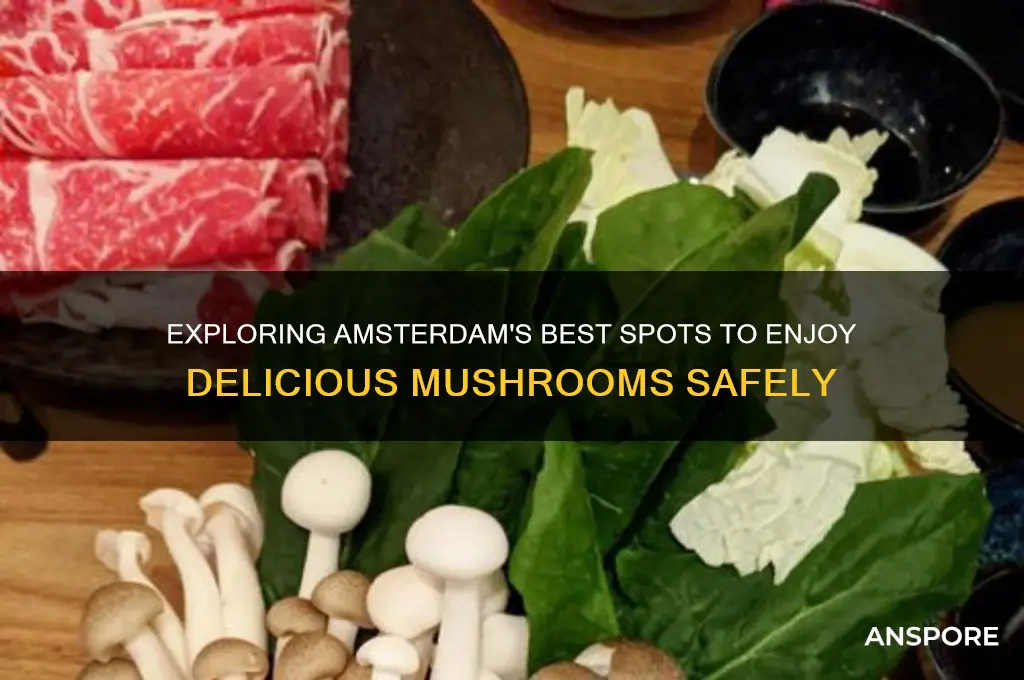 how to eat mushrooms in amsterdam