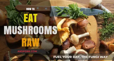 Raw Mushroom Guide: Safe, Nutritious, and Delicious Consumption Tips