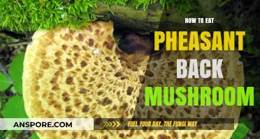 Delicious Pheasant Back Mushrooms: A Guide to Cooking and Enjoying