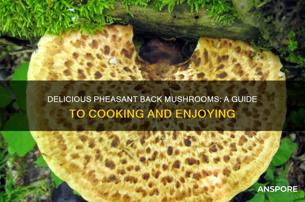 how to eat pheasant back mushrooms