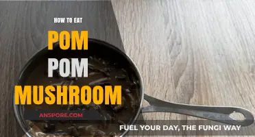 Delicious Pom Pom Mushroom: Easy Cooking Tips and Recipes to Try