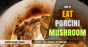 Mastering Porcini Mushrooms: Delicious Ways to Prepare and Enjoy Them