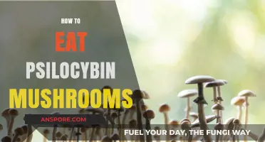 A Beginner's Guide to Safely Consuming Psilocybin Mushrooms