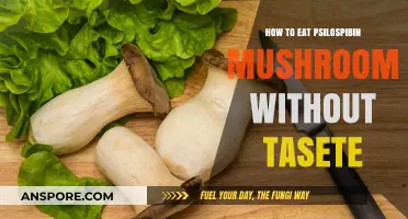 Masking Magic Mushrooms: Creative Ways to Avoid the Taste