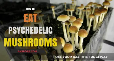 A Beginner's Guide to Safely Consuming Psychedelic Mushrooms