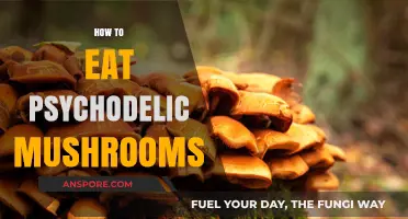 Exploring Psychedelic Mushrooms: A Beginner's Guide to Safe Consumption