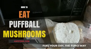 Delicious and Safe: A Beginner's Guide to Eating Puffball Mushrooms