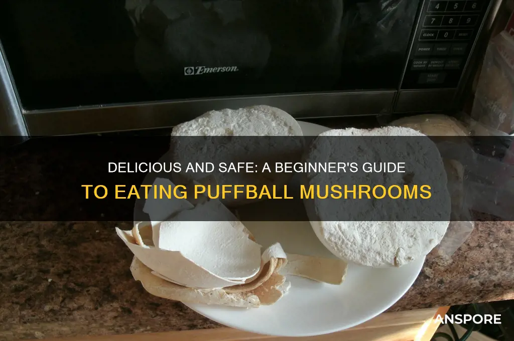 how to eat puffball mushrooms