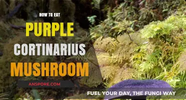 Safely Enjoying Purple Cortinarius Mushrooms: A Beginner's Guide to Consumption