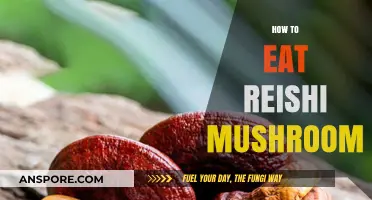 Unlocking Reishi's Benefits: Simple Ways to Incorporate This Superfood