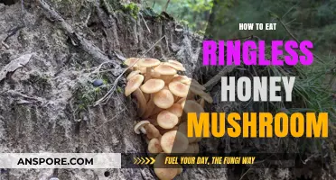 Savoring Ringless Honey Mushrooms: A Guide to Safe and Delicious Consumption
