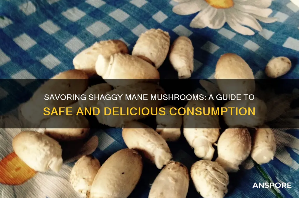 how to eat shaggy mane mushrooms