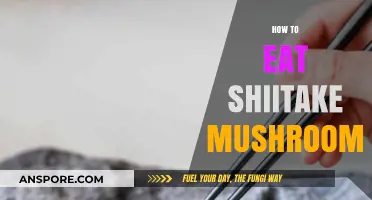 Delicious Ways to Prepare and Enjoy Shiitake Mushrooms at Home