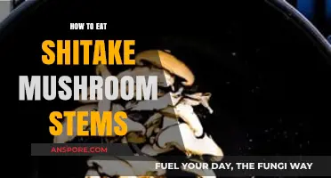 Creative Ways to Cook and Enjoy Shiitake Mushroom Stems