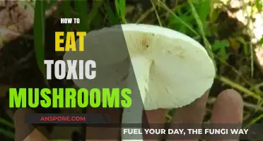 Avoid Poisonous Mushrooms: Safe Foraging and Identification Tips