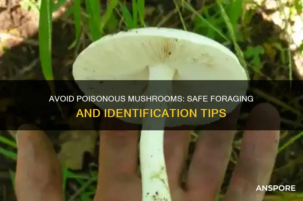 how to eat toxic mushrooms