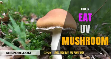 Safely Eating UV Mushrooms: A Beginner's Guide to Identification and Preparation