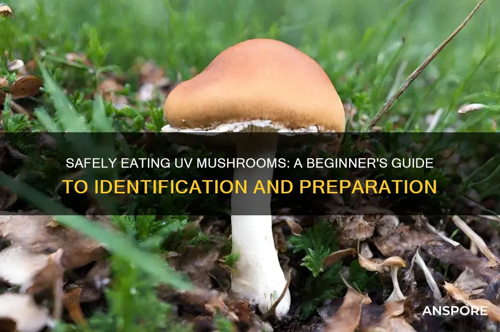 how to eat uv mushrooms
