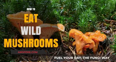 Safely Foraging and Enjoying Wild Mushrooms: A Beginner's Guide