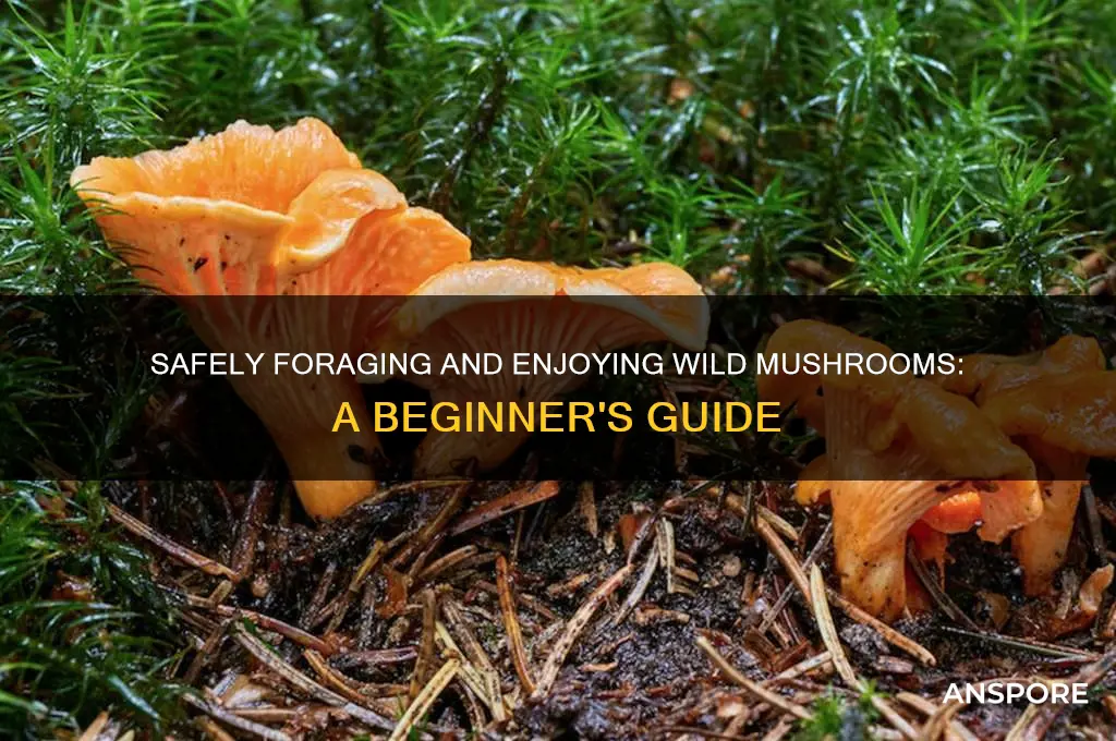 how to eat wild mushrooms