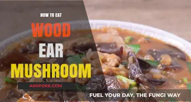 Delicious Wood Ear Mushroom: Easy Cooking Tips and Recipes to Try