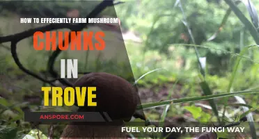 Mastering Mushroom Chunk Farming in Trove: Efficient Strategies Revealed