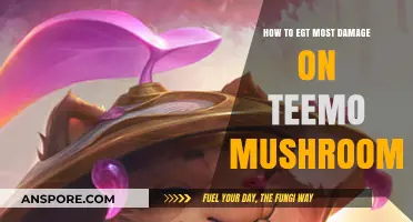 Maximize Teemo's Mushroom Damage: Advanced Strategies for Dominant Gameplay
