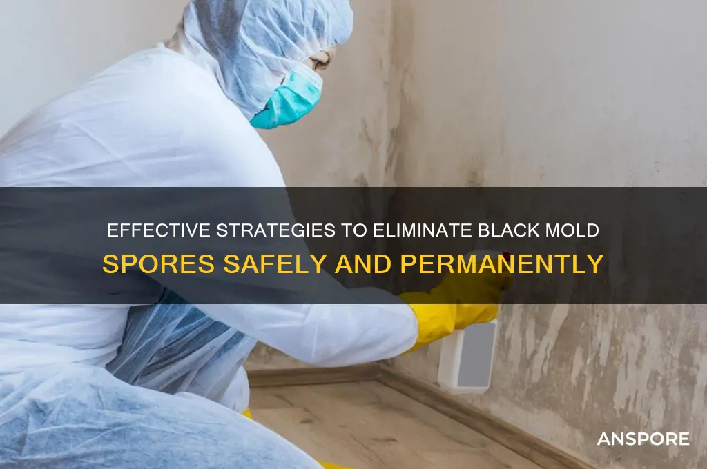 how to eliminate black mold spores