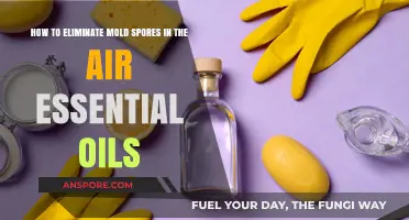 Eliminate Mold Spores Naturally: Essential Oils for Cleaner Air