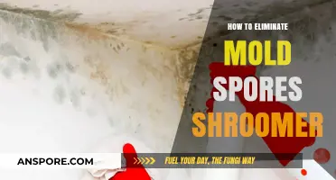 Effective Strategies to Eliminate Mold Spores in Shroom Cultivation Environments