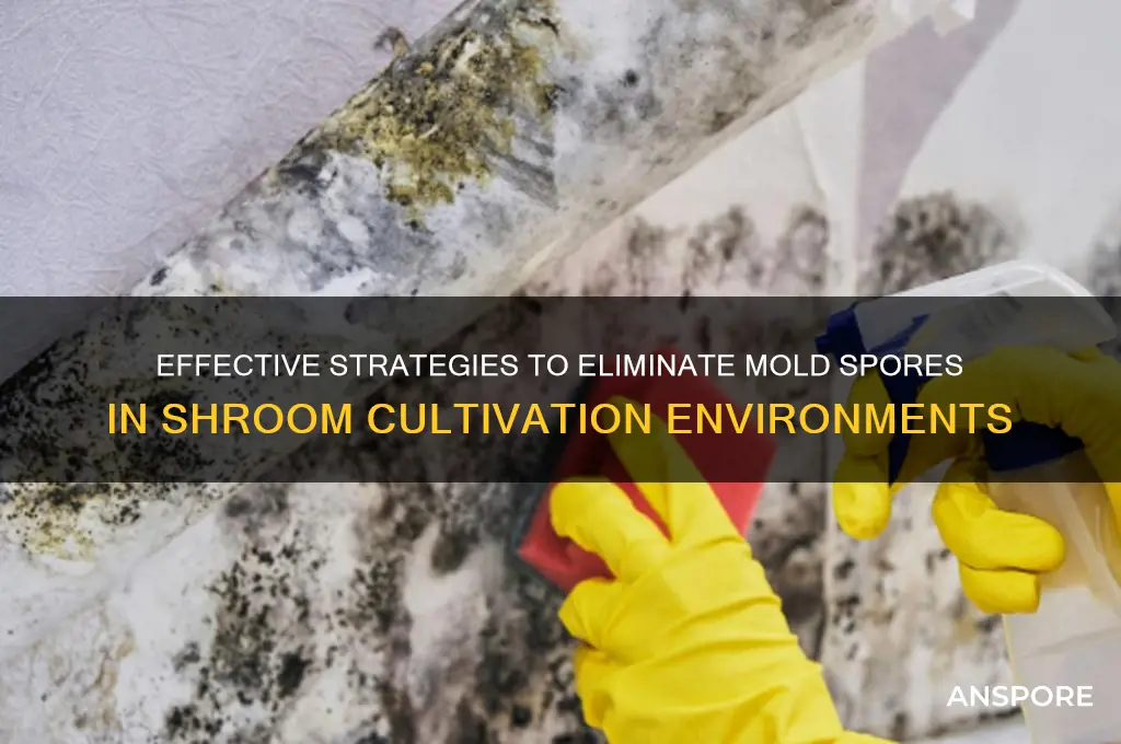 how to eliminate mold spores shroomery